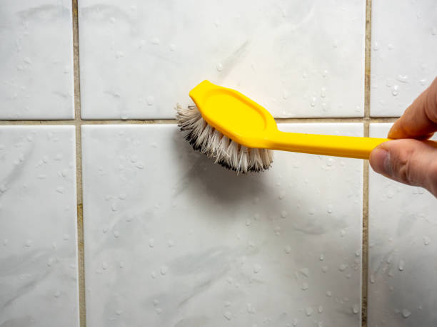 Best Industrial Mold Remediation in Doniphan, MO