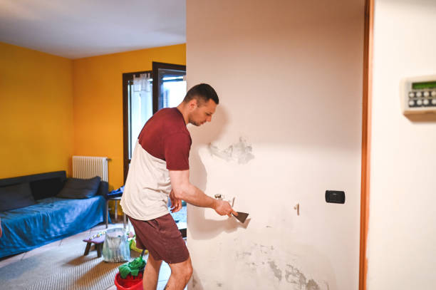 Best Mold Testing and Inspection Services in Doniphan, MO